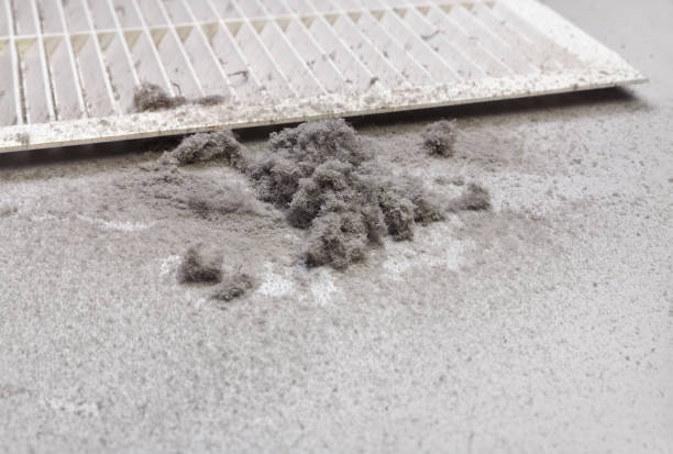 Best Affordable HVAC Duct Cleaning  in Placerville, CA